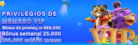 Métodos de pagamento aceitos na vip969